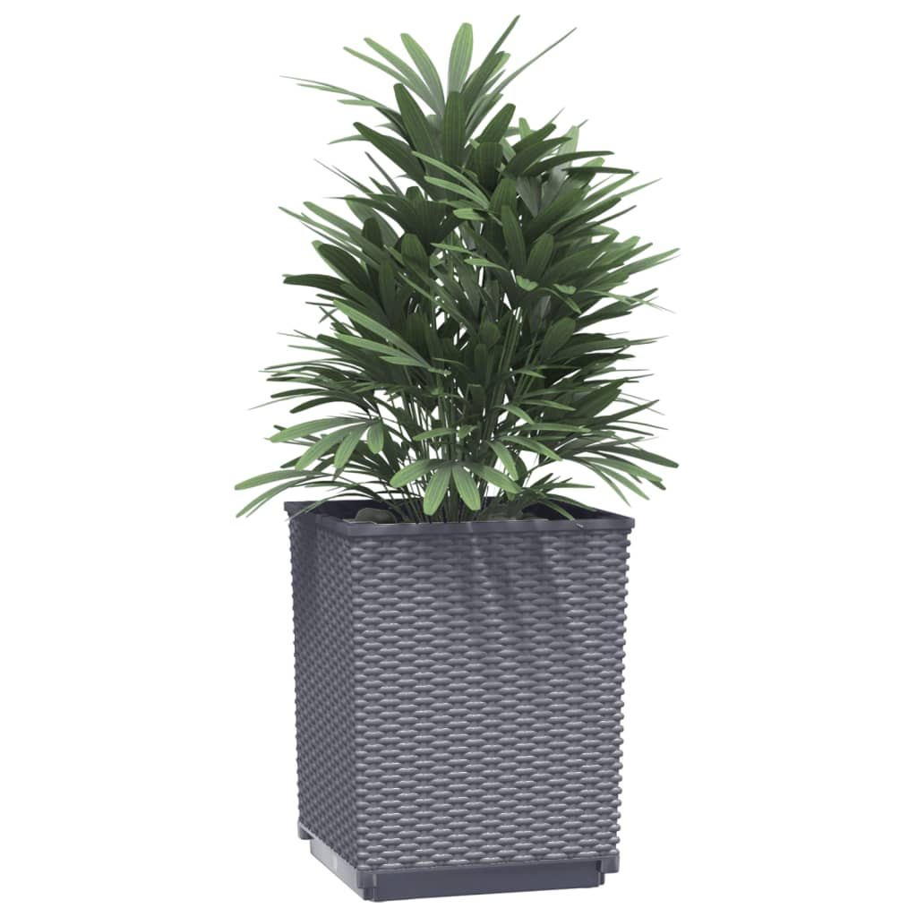 Planters 2 pcs Dark Grey 30x30x37 cm Polypropylene